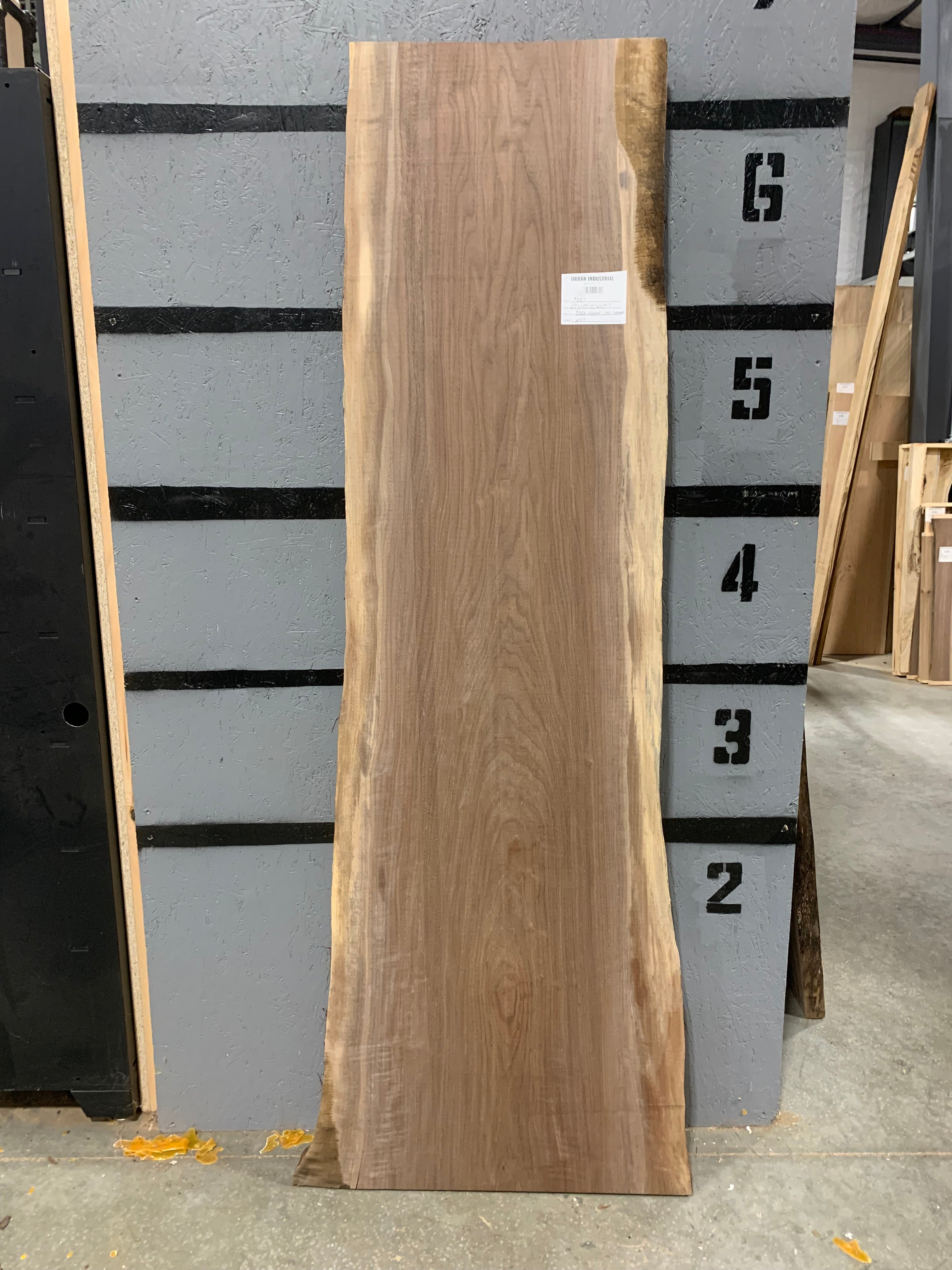 Black Walnut Slab - CNC Flattened | W417