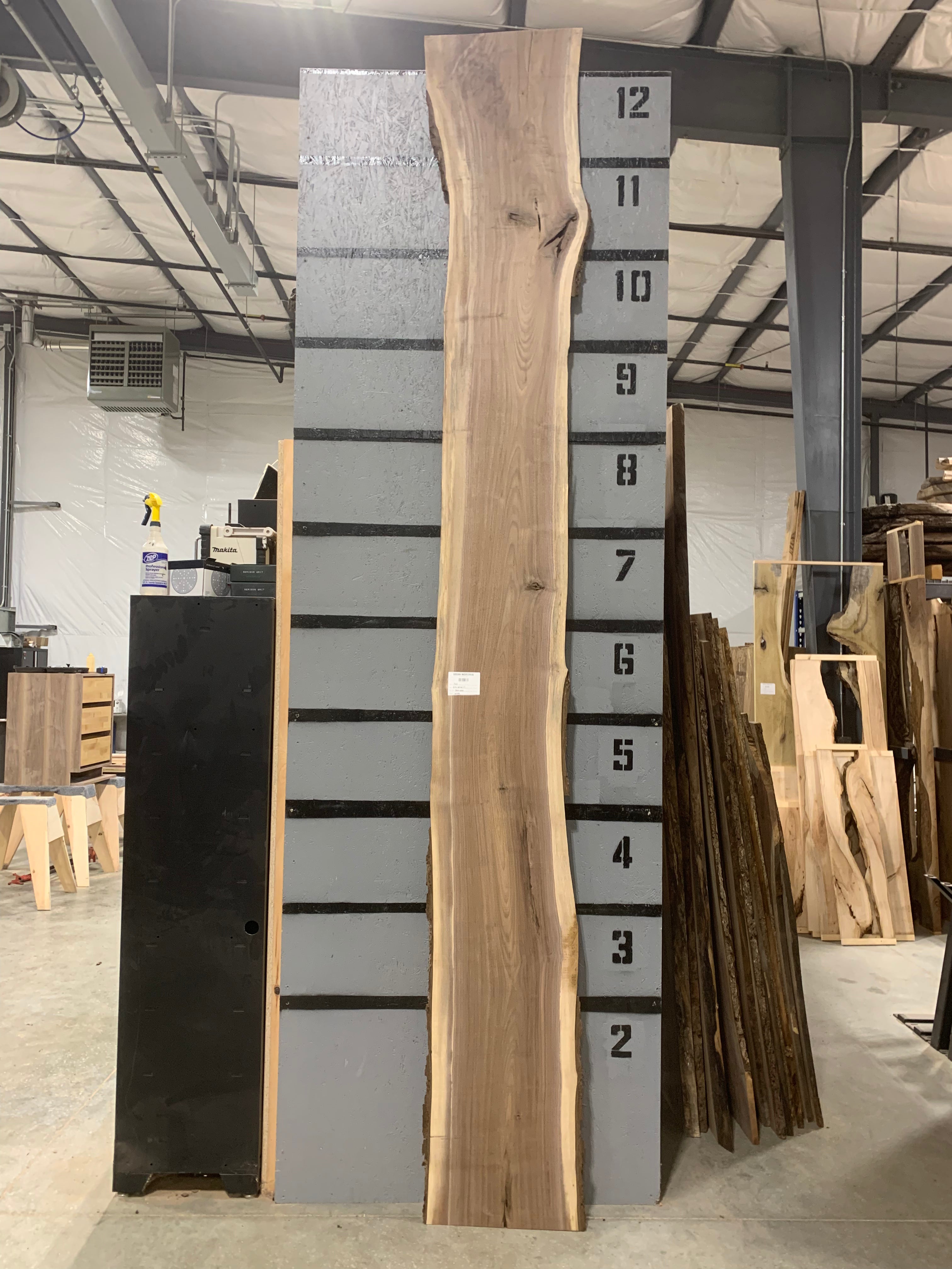 Black Walnut Slab | W499