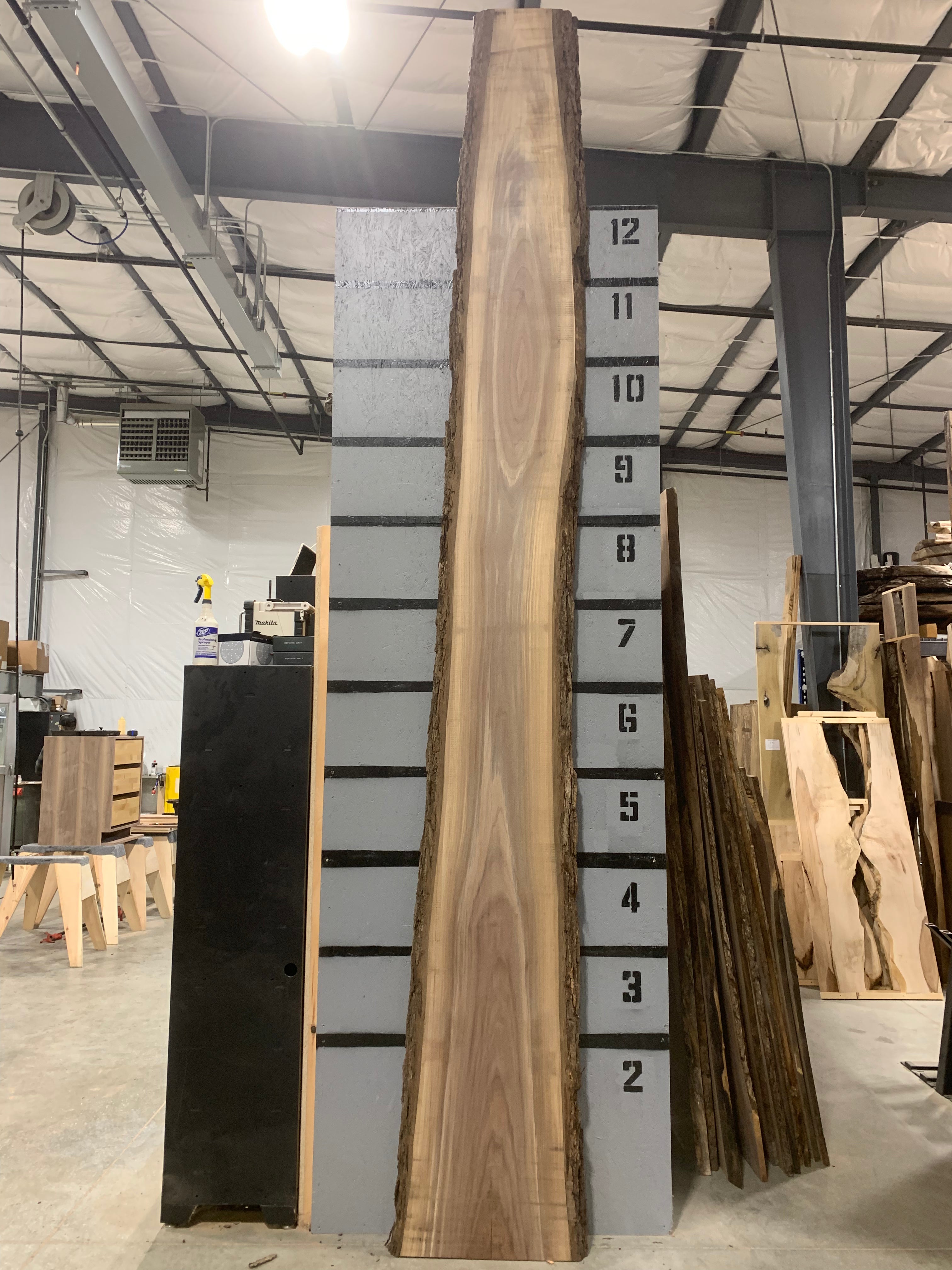 Black Walnut Slab | W509