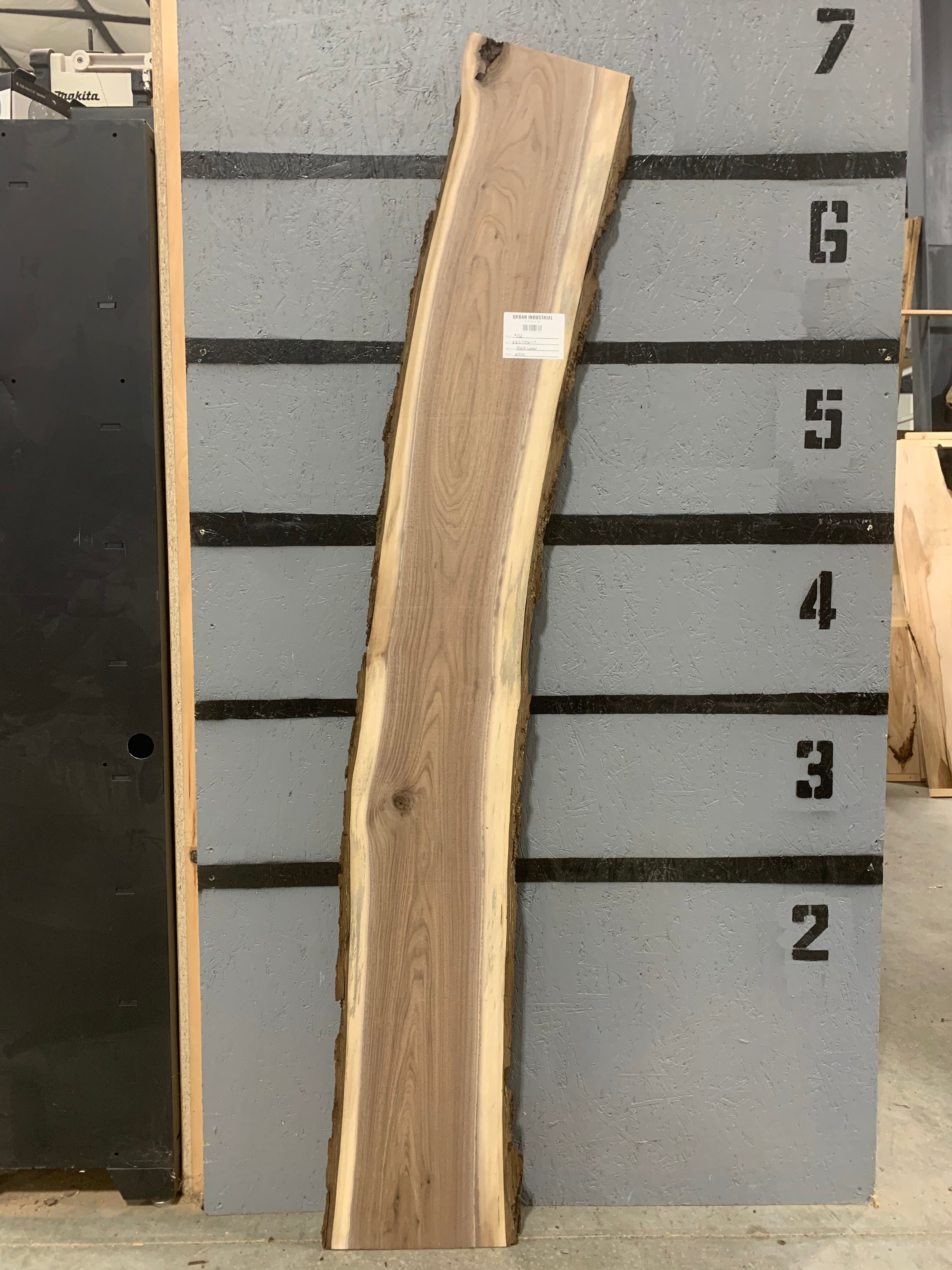 Black Walnut Slab | W543