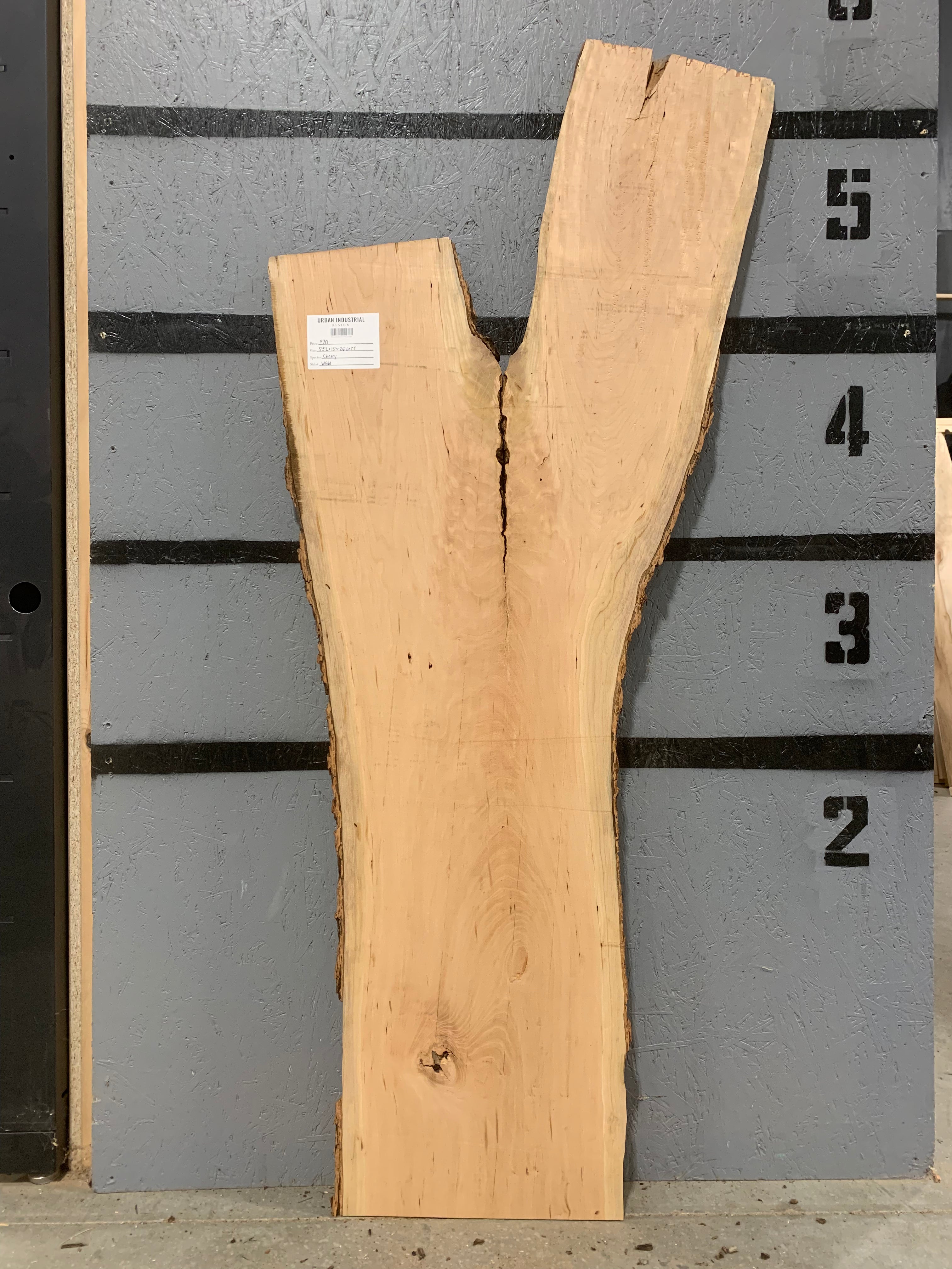 Cherry Slab | W561