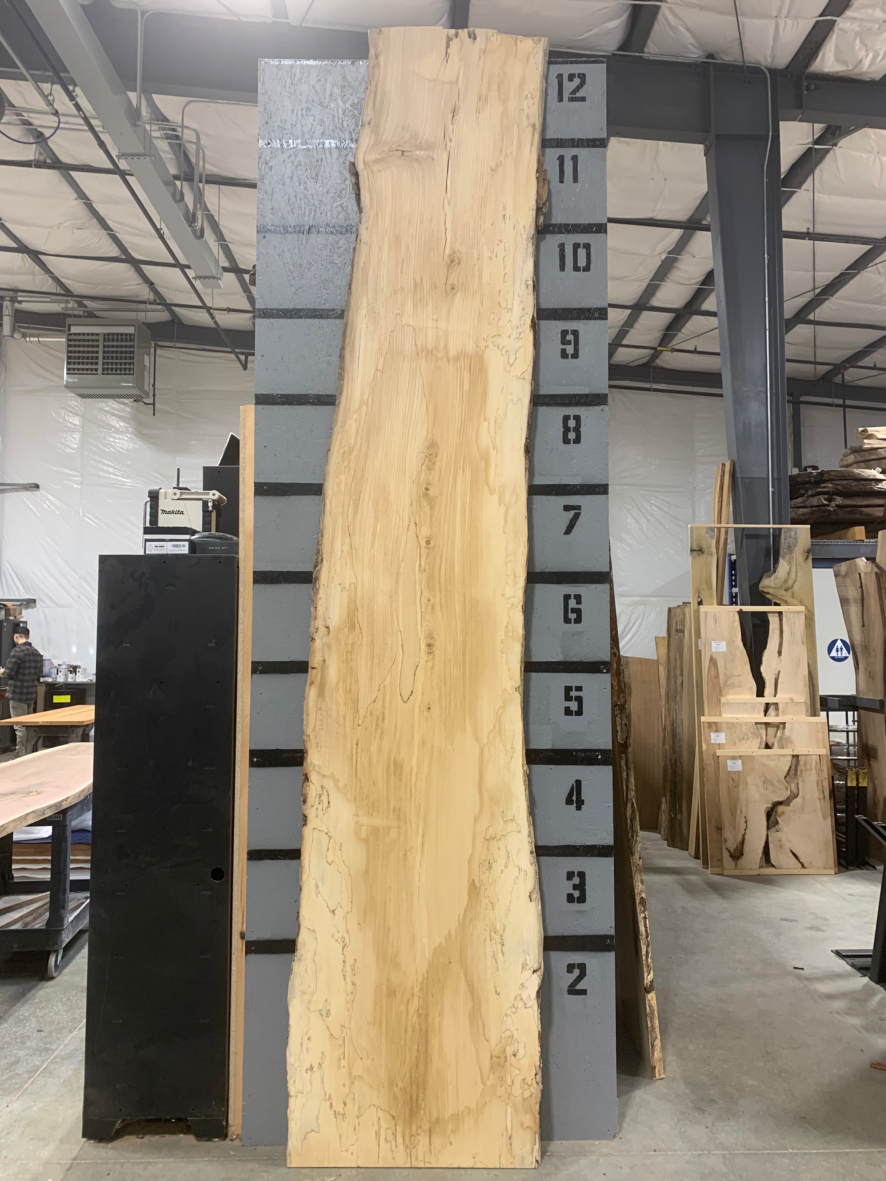 American Elm Slab - Spalted - CNC Flattened | W572