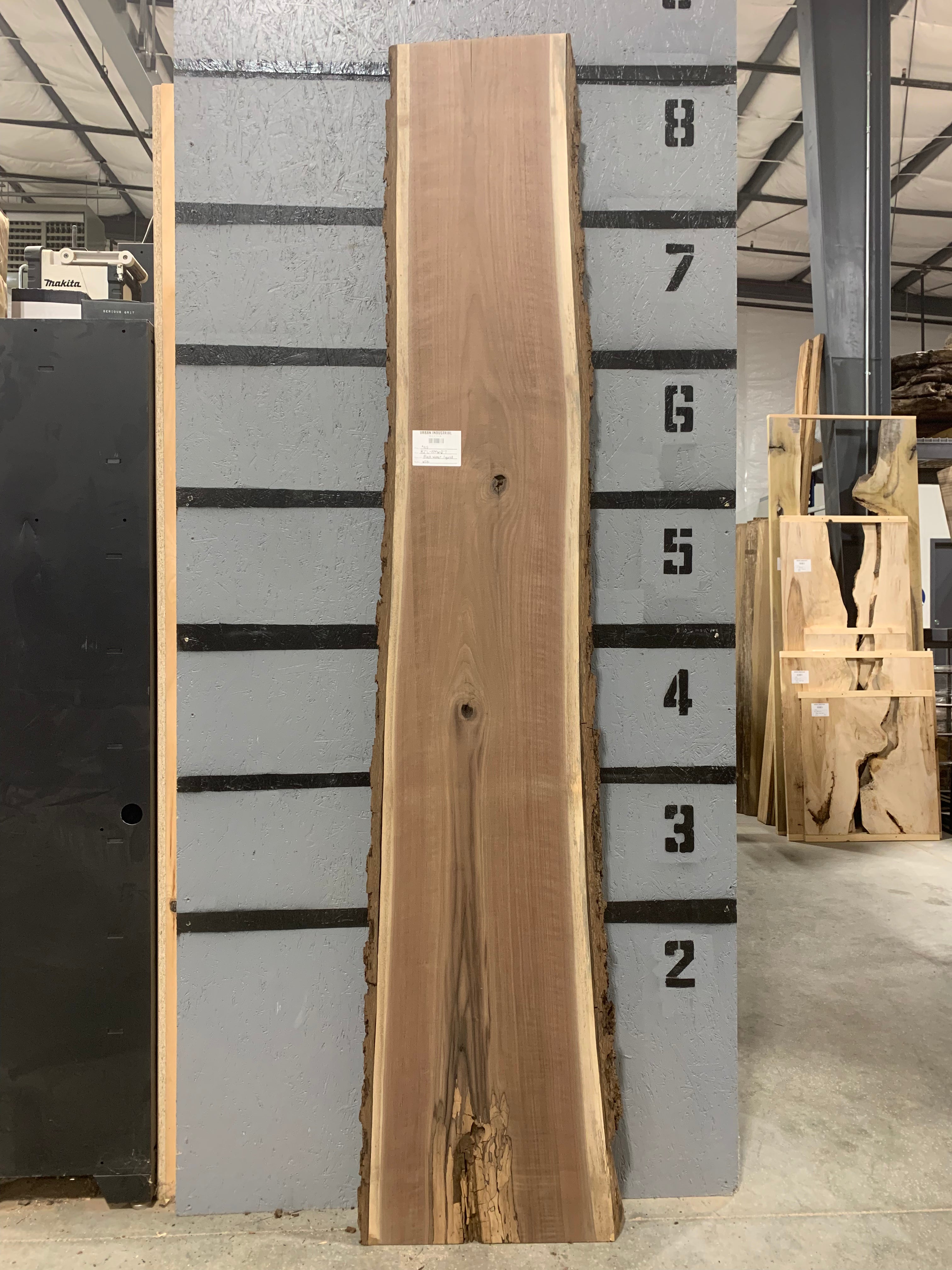 Black Walnut Slab - Figured | W581