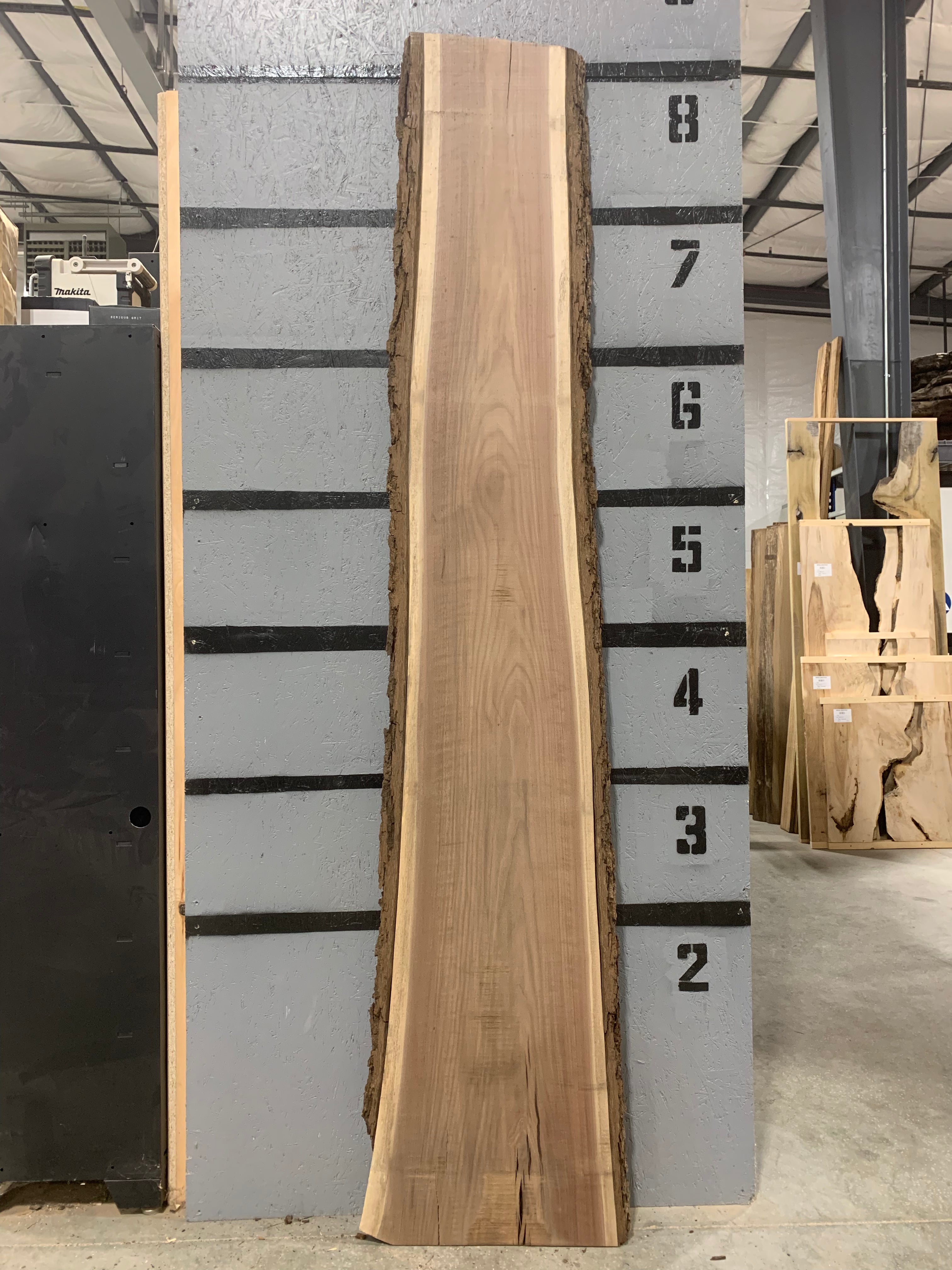 Black Walnut Slab - Figured | W581