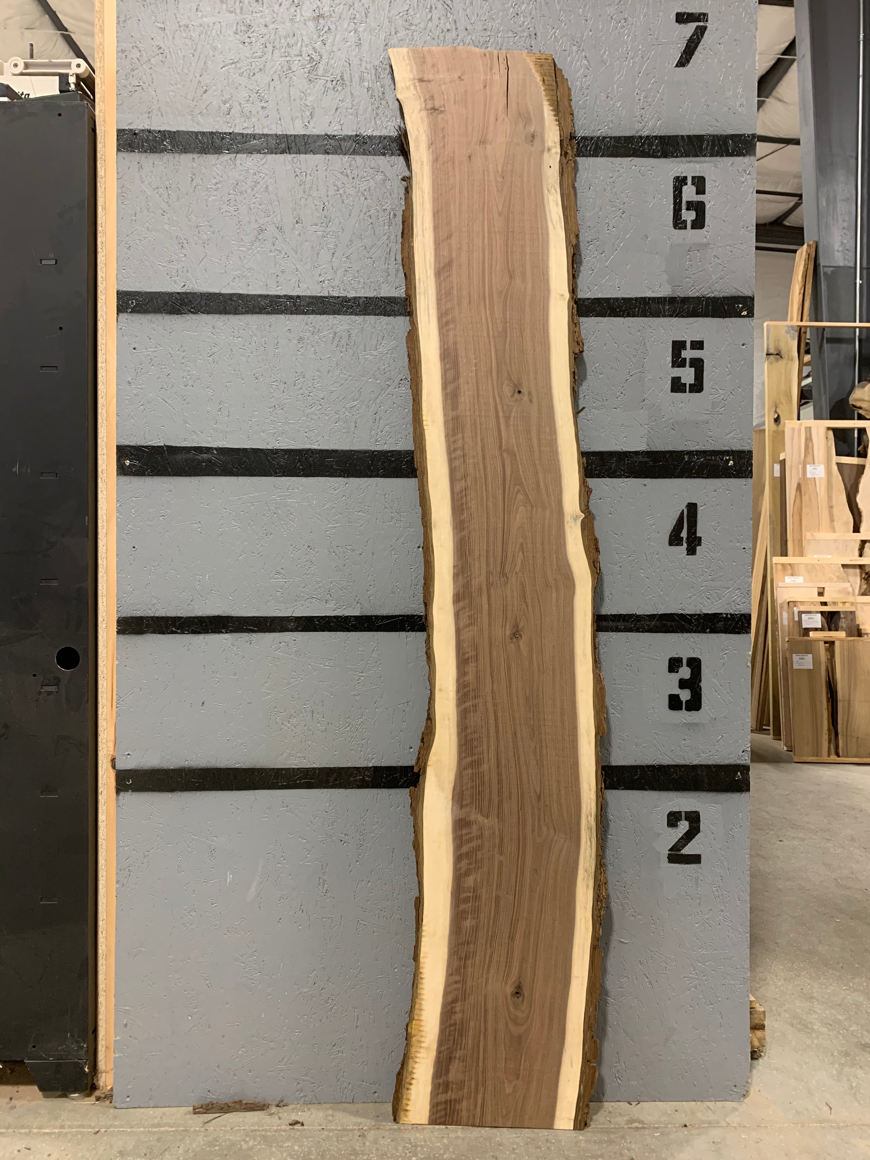 Black Walnut Slab - Figured | W617