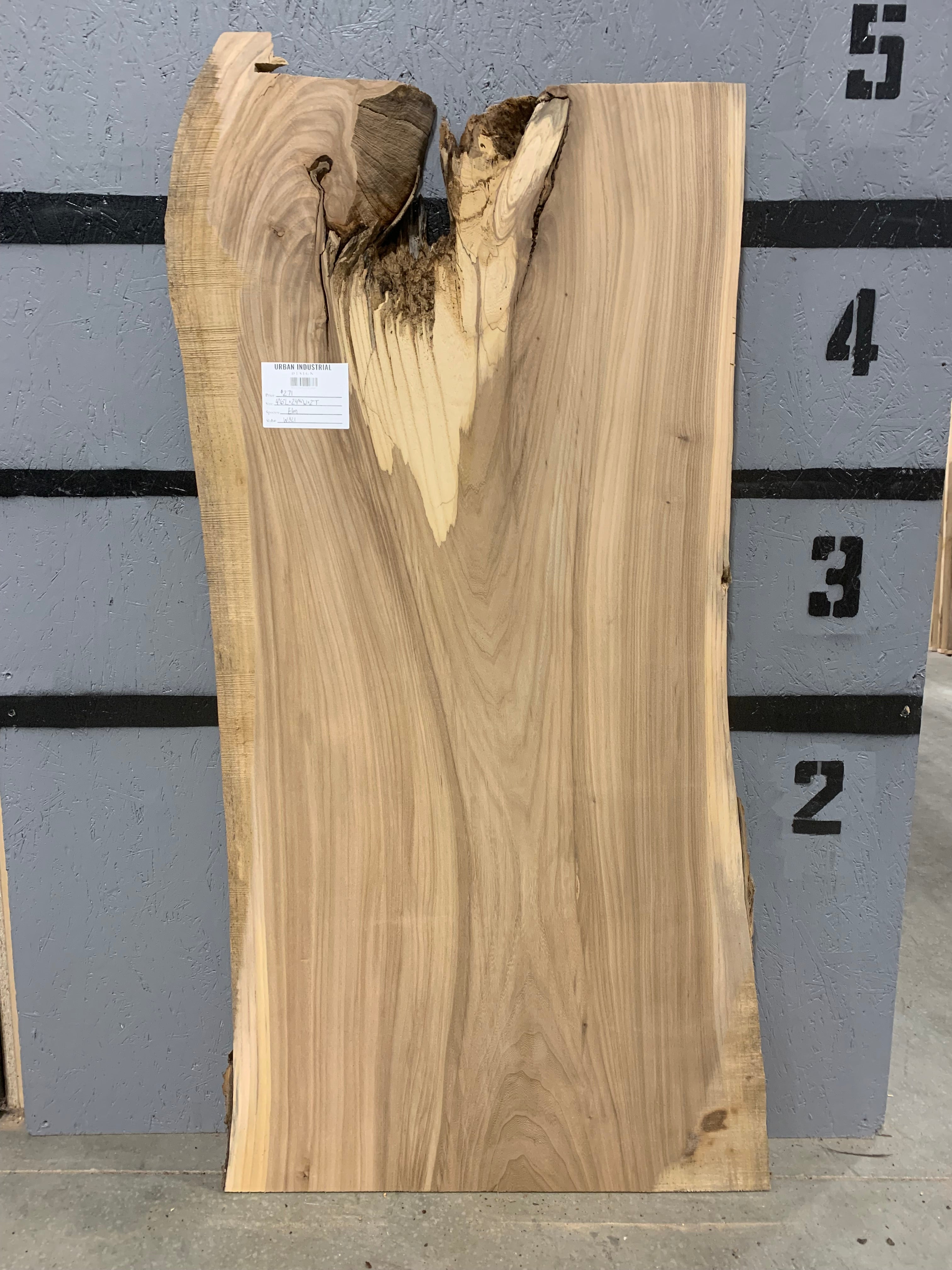 Elm Slab | W321