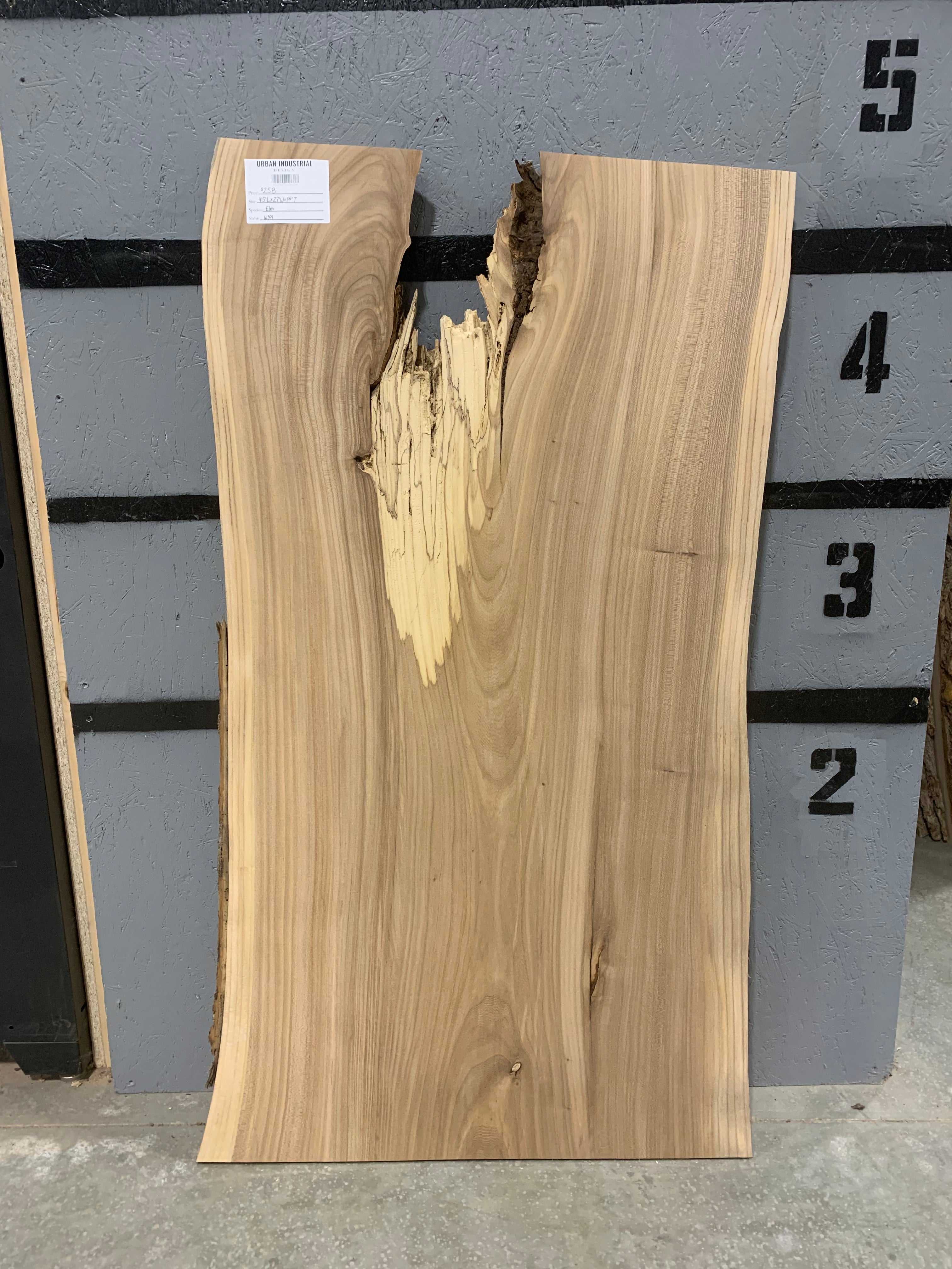 Elm Slab | W399