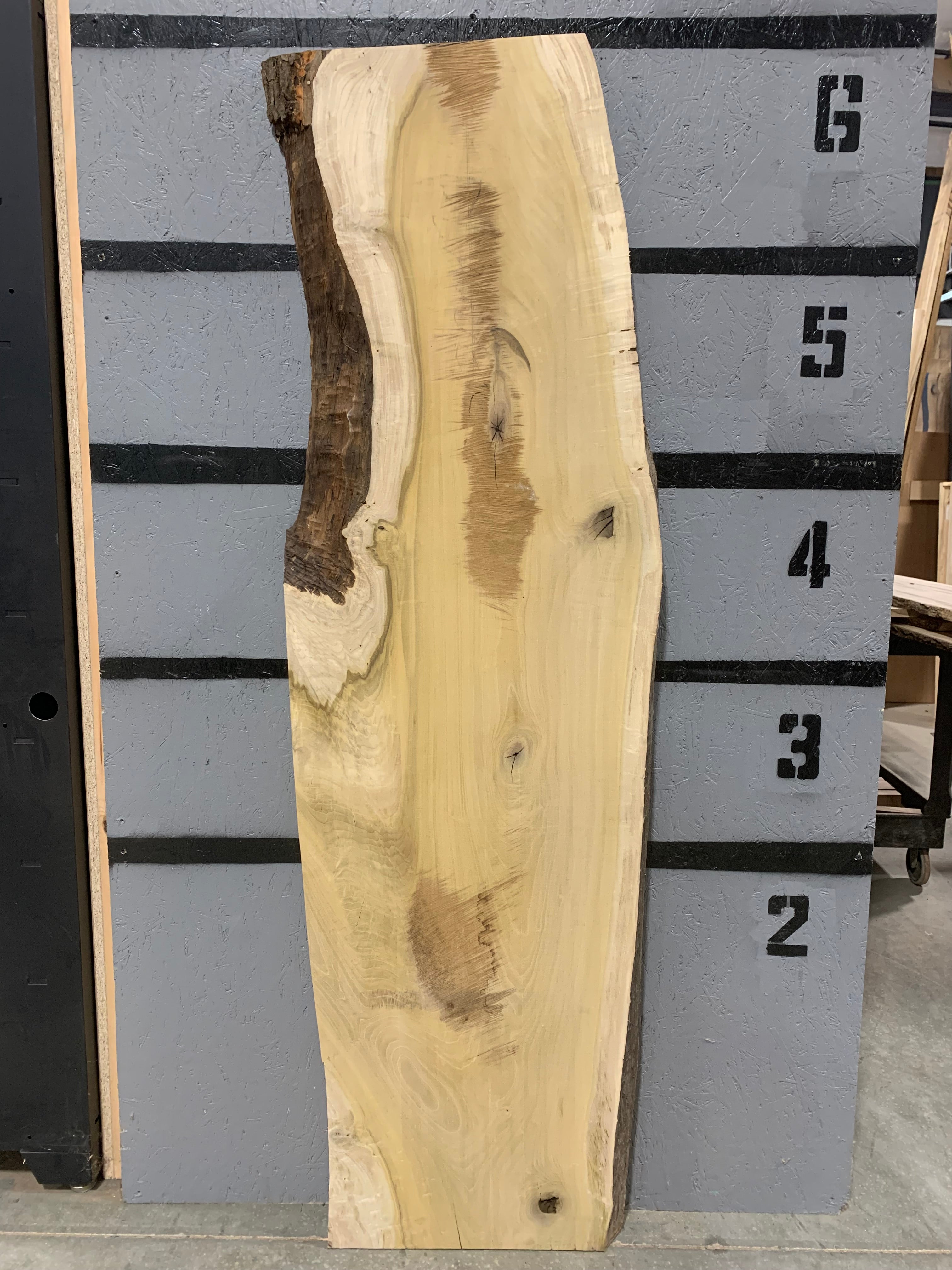 Magnolia Slab | W422
