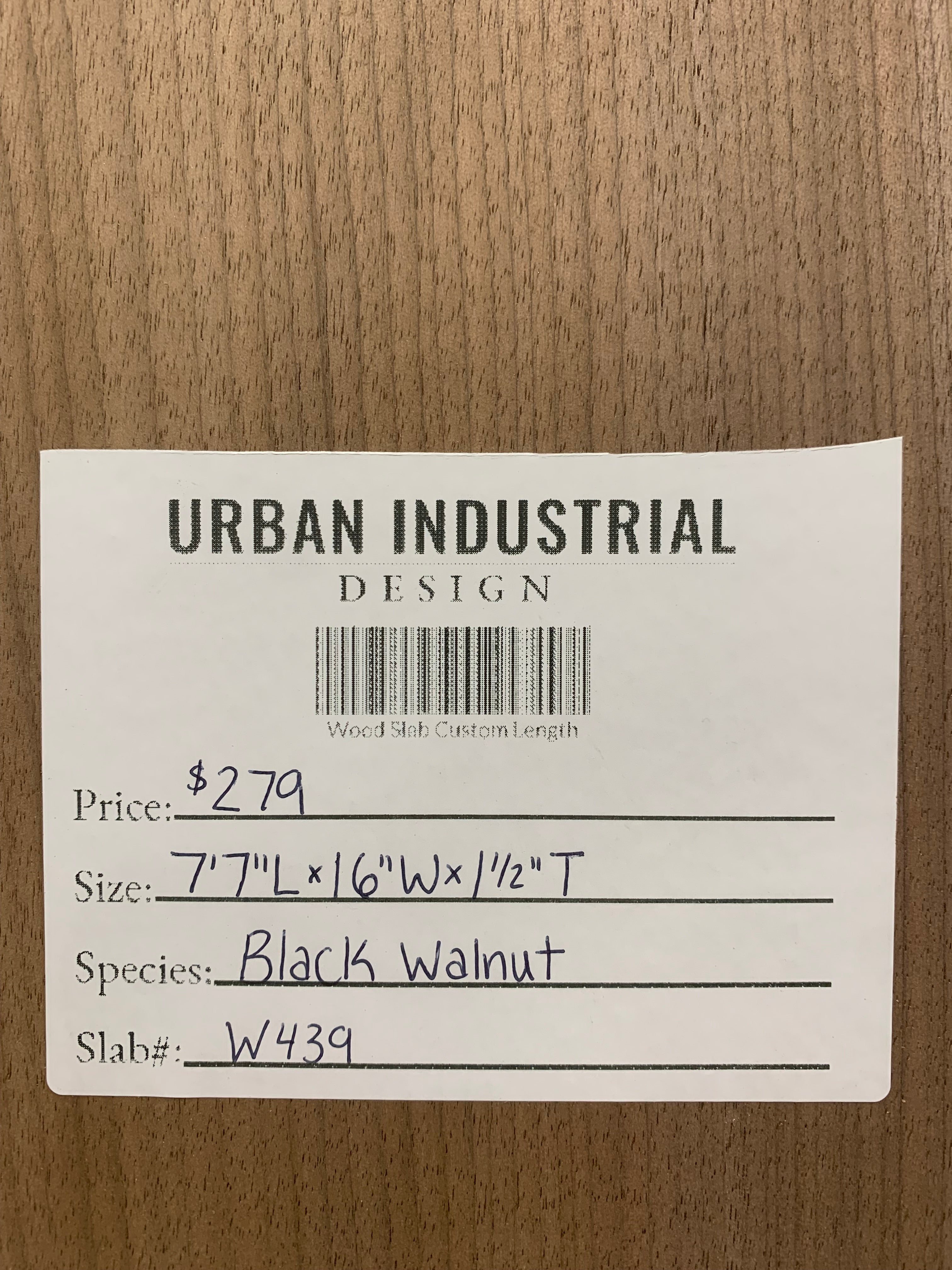 Black Walnut Slab | W439