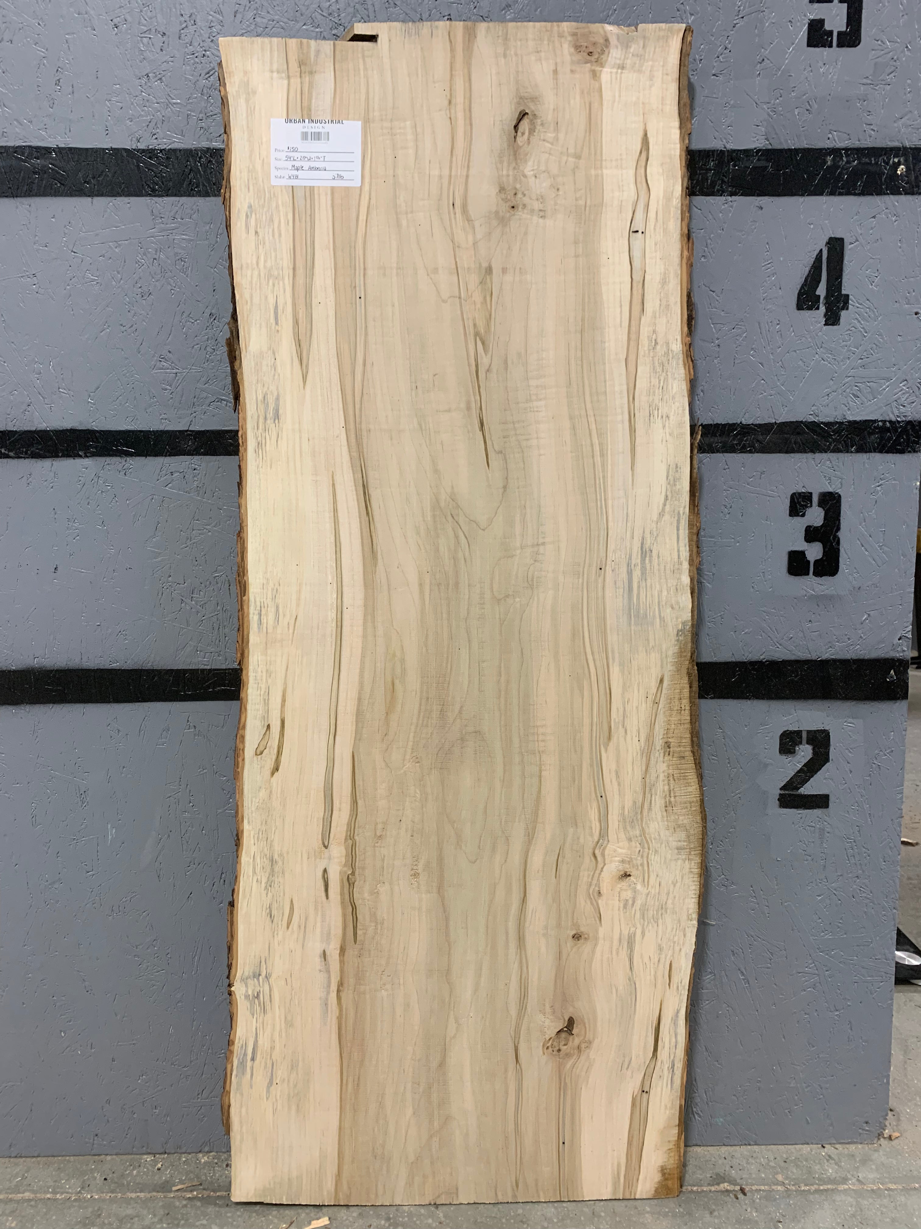 Maple Slab - Ambrosia | W481