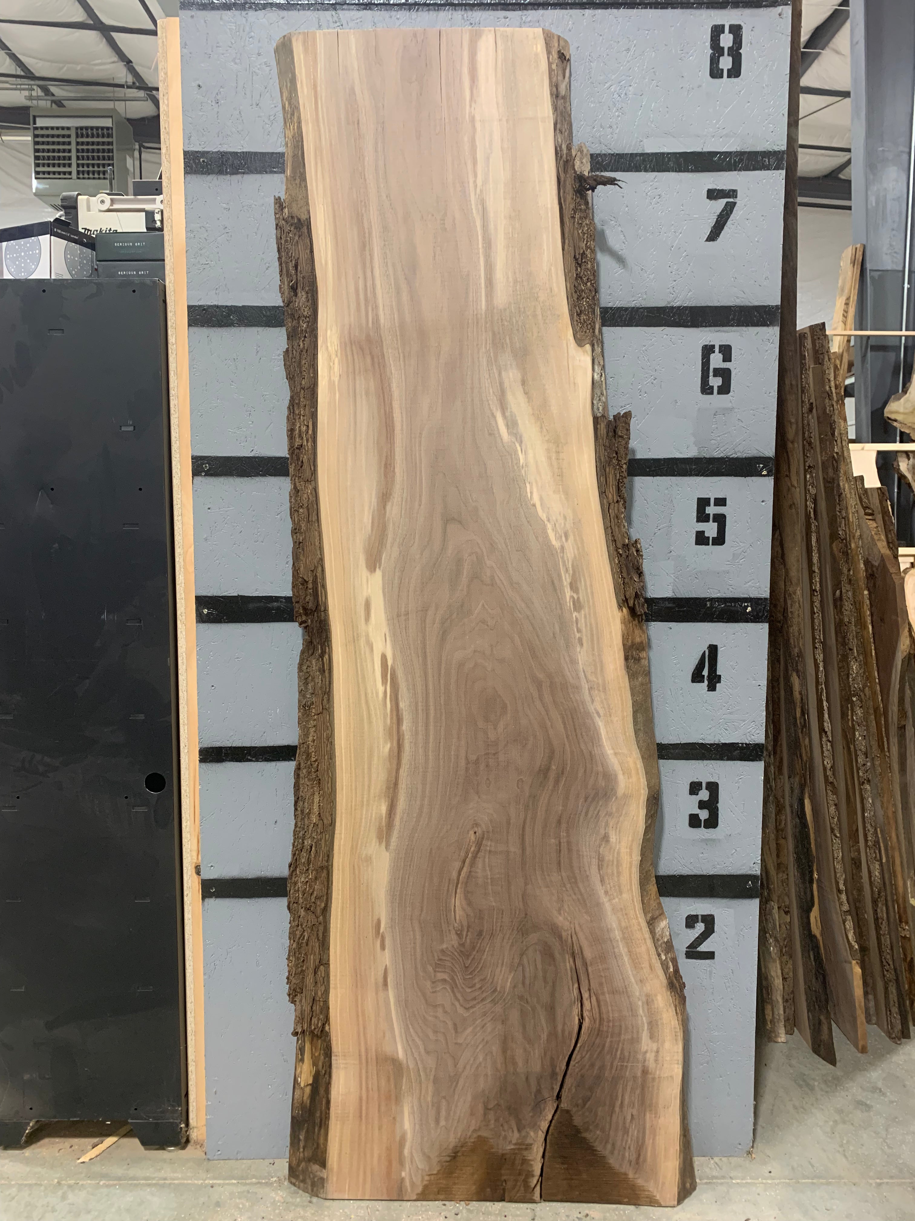 Black Walnut Slab | W490