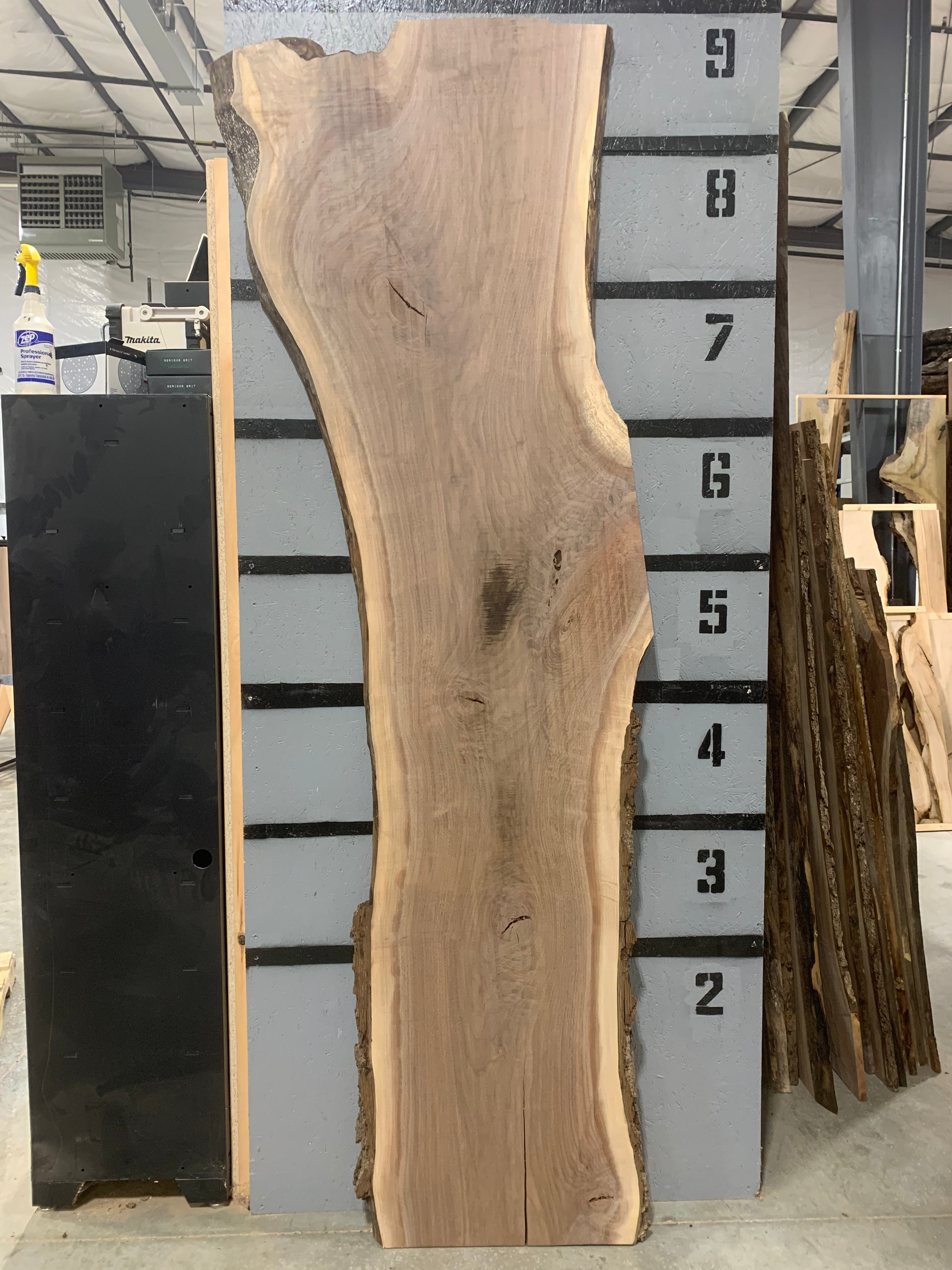 Black Walnut Slab | W493