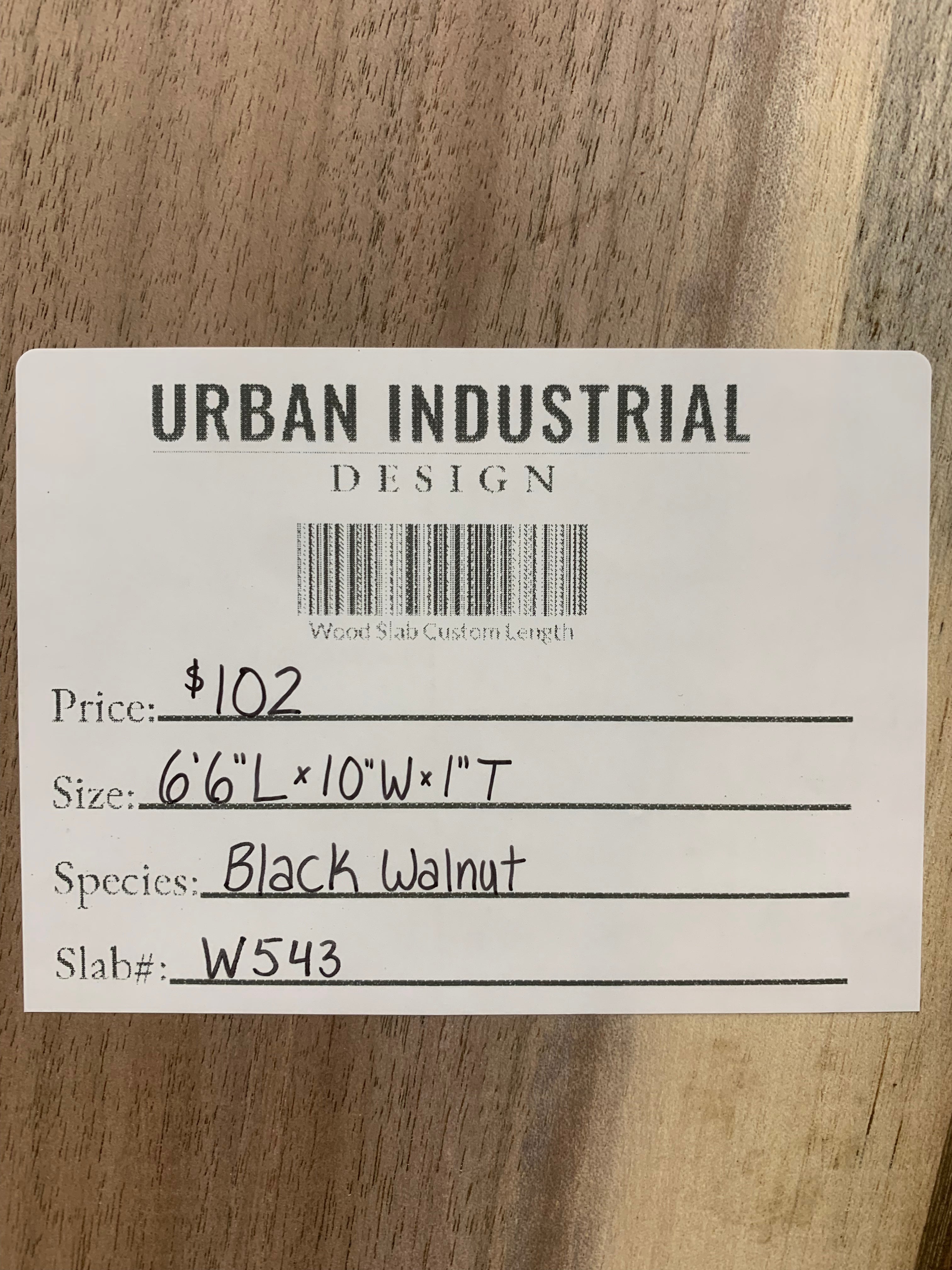 Black Walnut Slab | W543