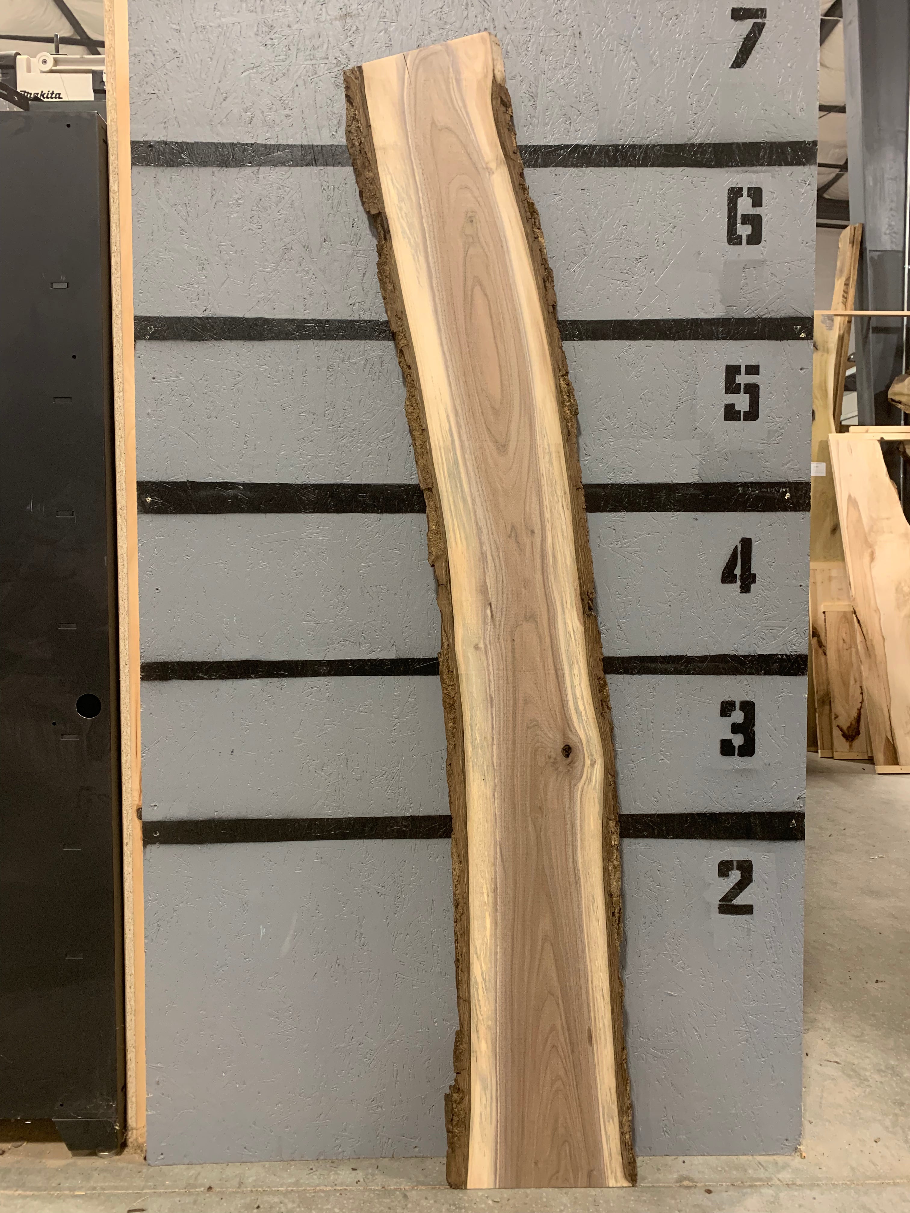 Black Walnut Slab | W543