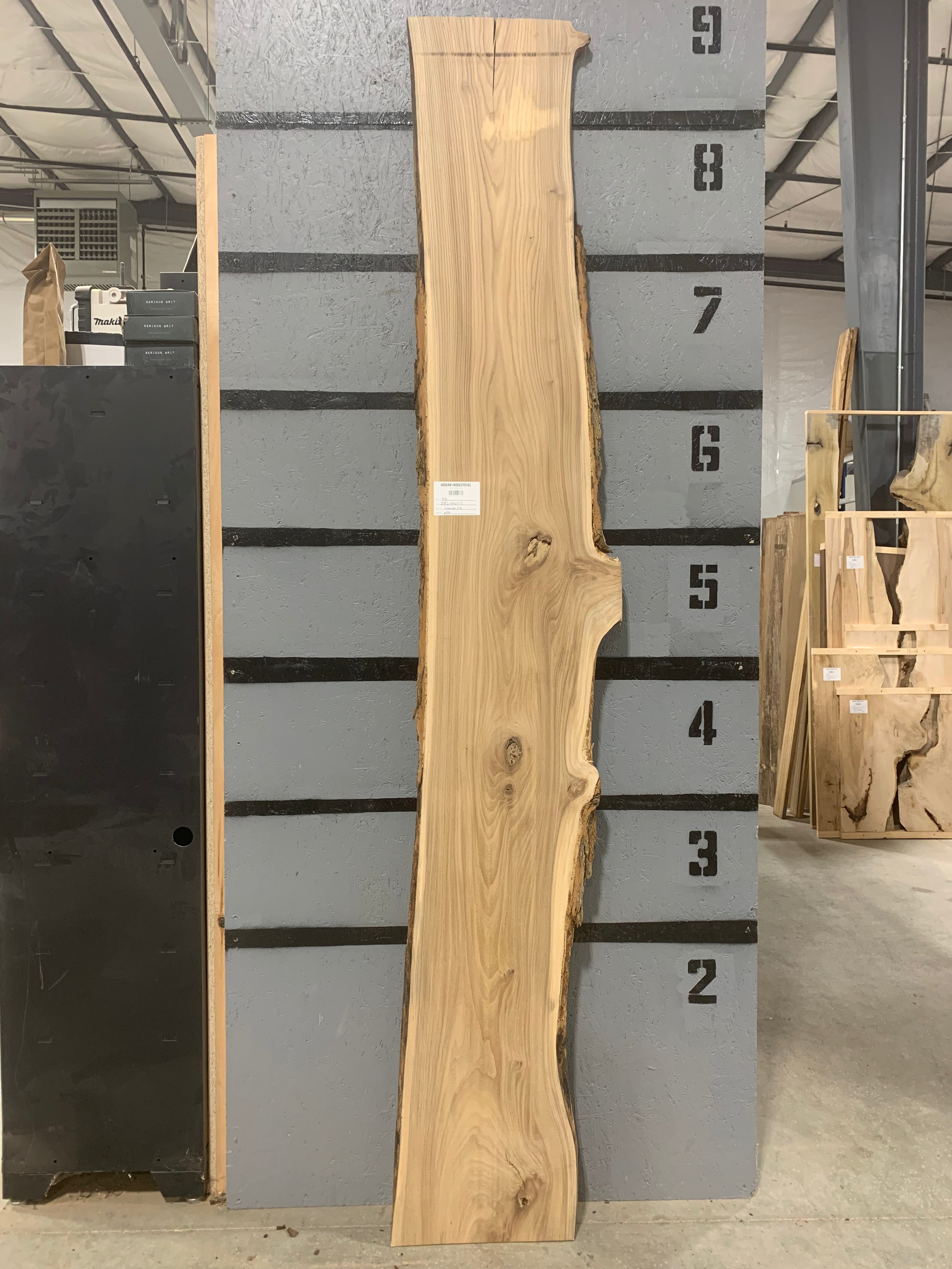 Elm Slab - Siberian | W594