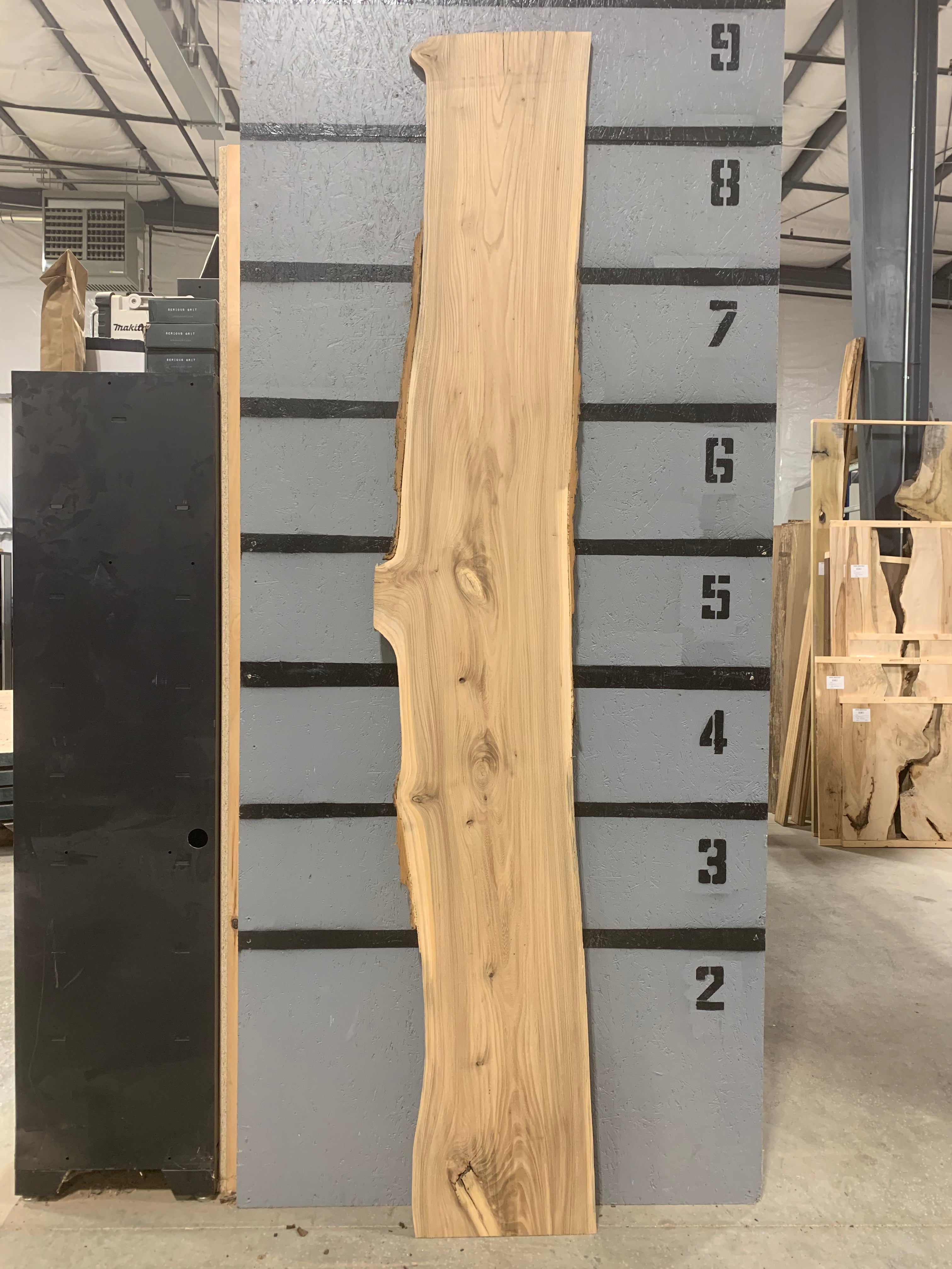 Elm Slab - Siberian | W594