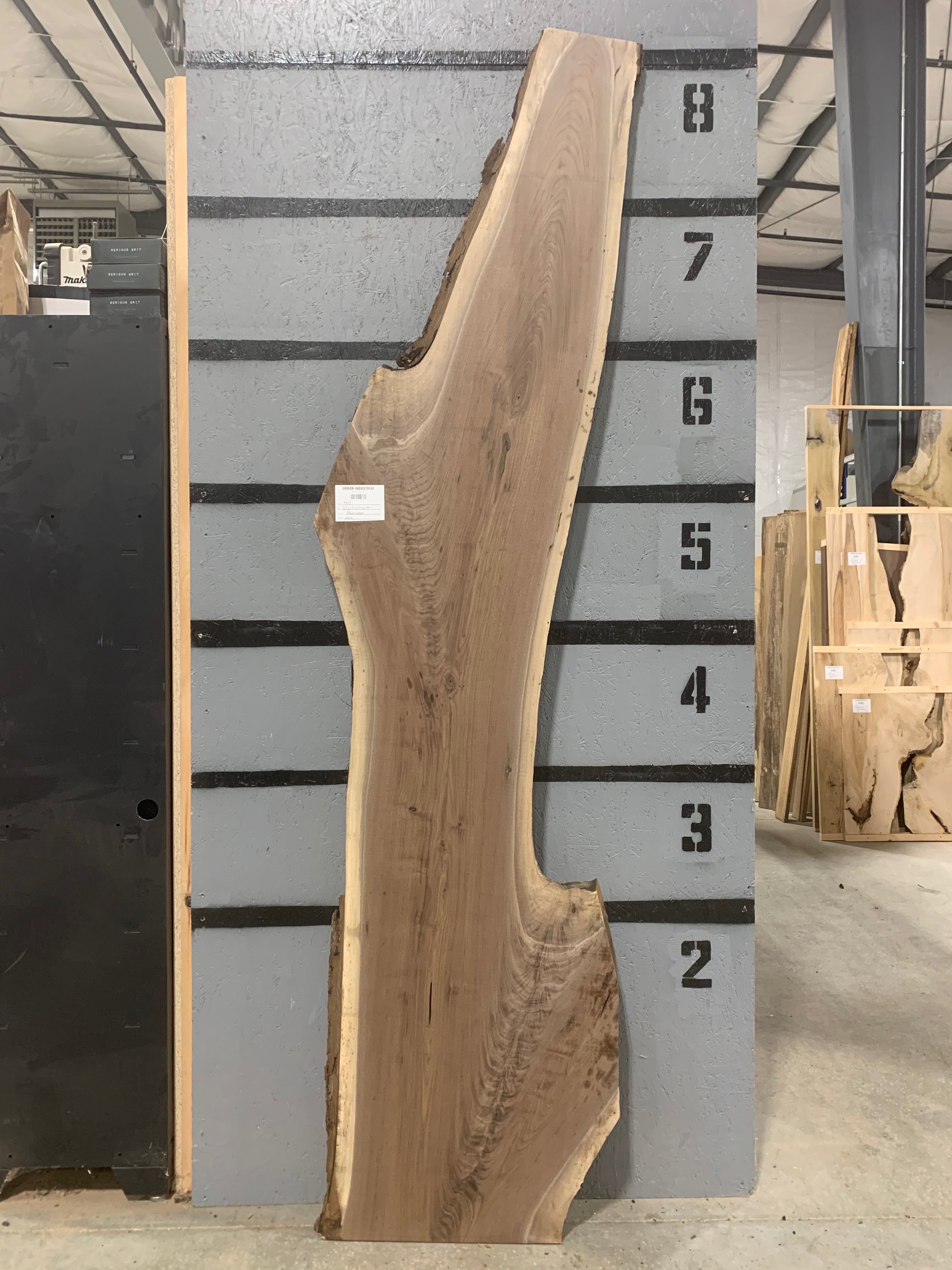Black Walnut Slab | W604