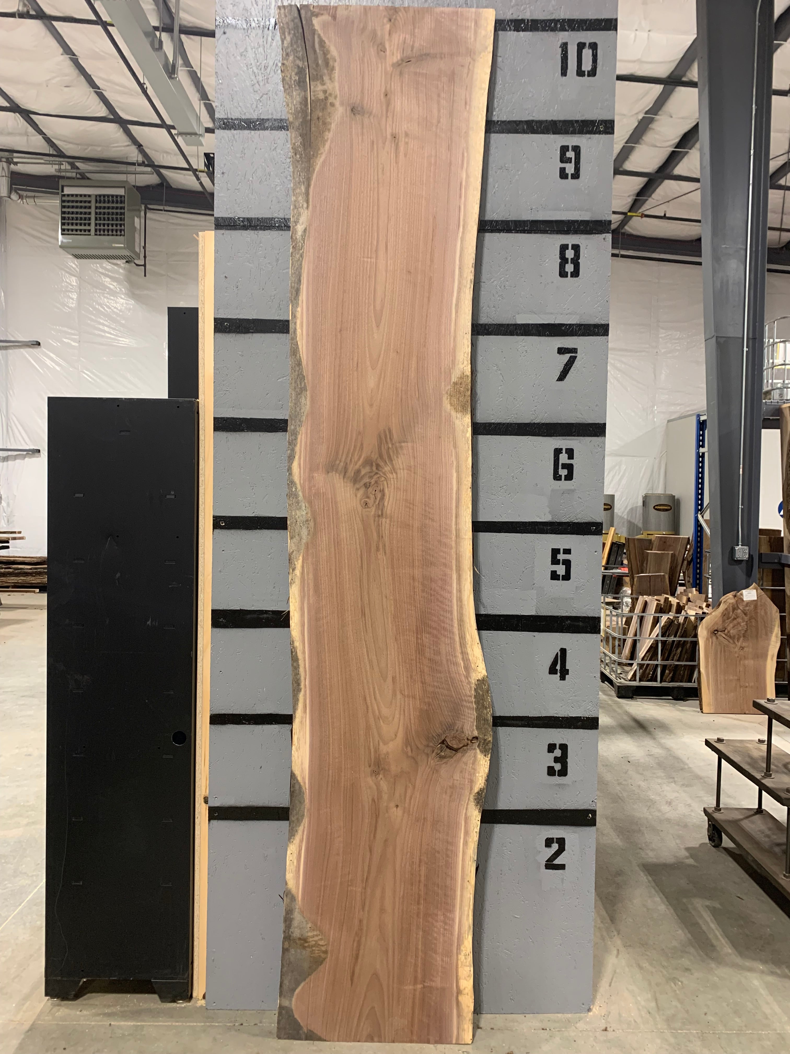 Black Walnut Slab | W116