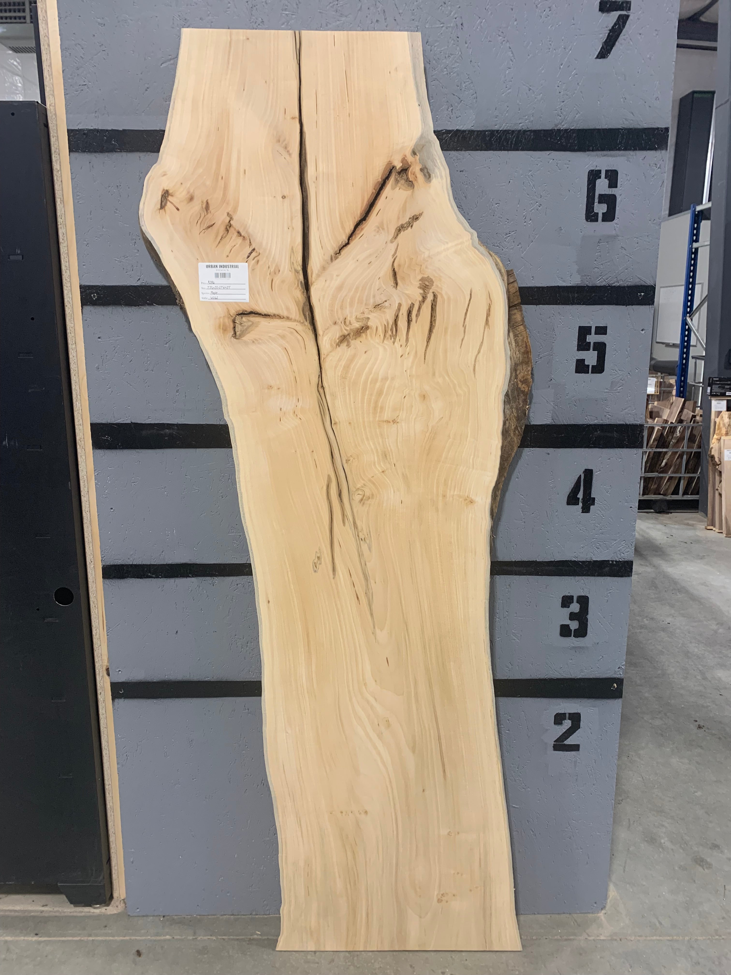 Maple Slab | W262
