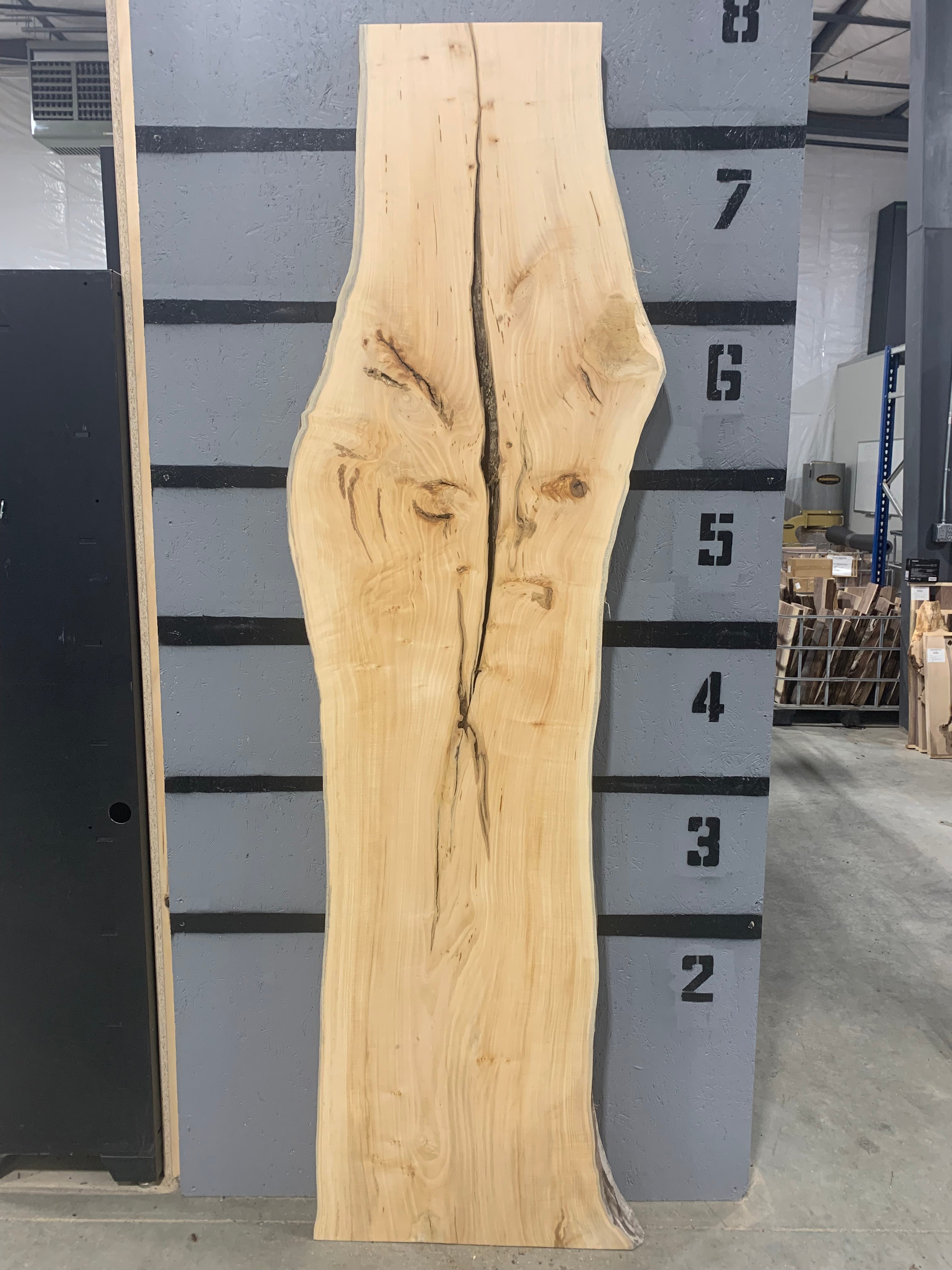 Maple Slab | W264